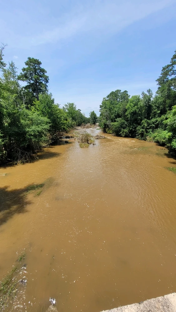 Image uploaded by Dave