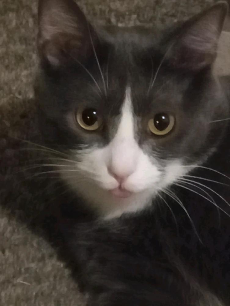 Image uploaded by Nathaniel