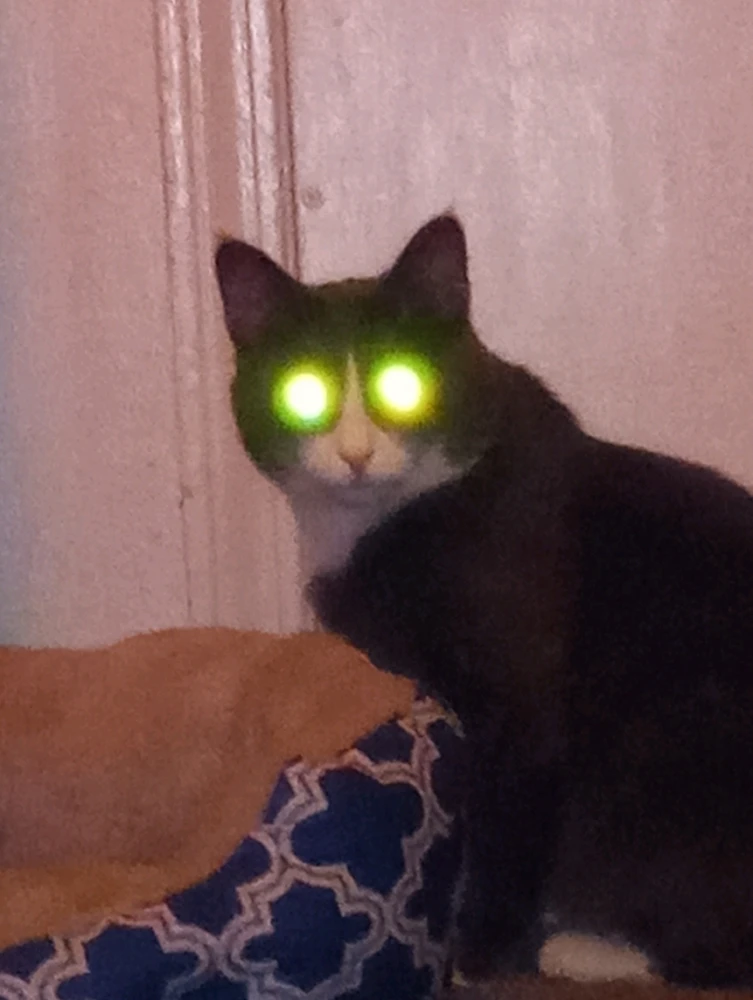 Image uploaded by Nathaniel