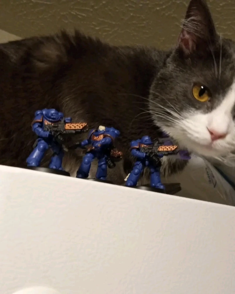 Image uploaded by Nathaniel