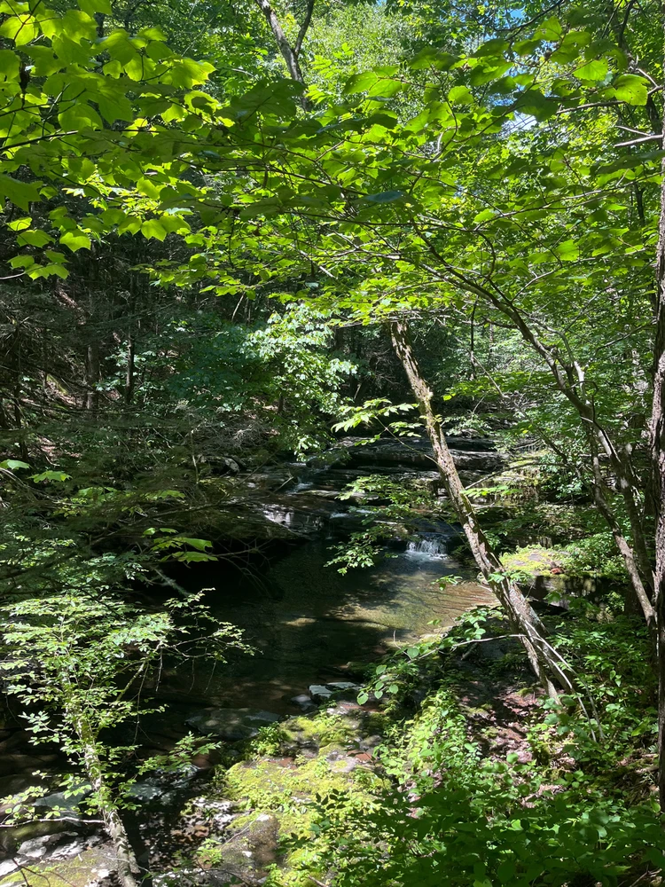 Image uploaded by Adrian Sanchez