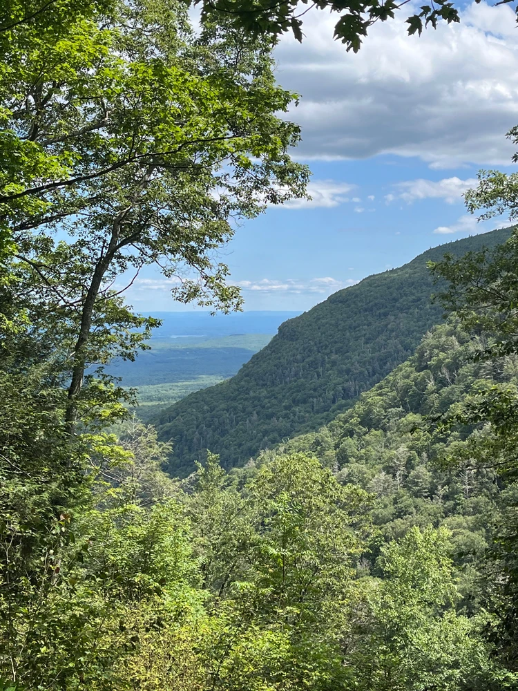 Image uploaded by Adrian Sanchez