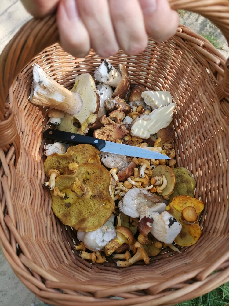 Zdjęcie dodane przez BoguO