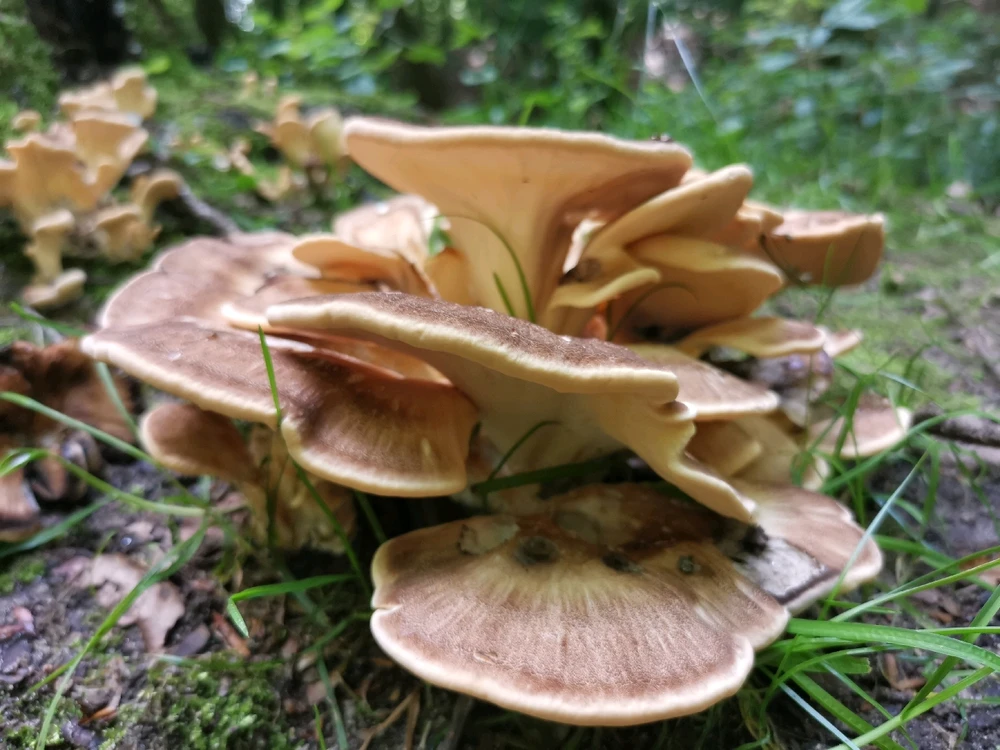 Zdjęcie dodane przez BoguO