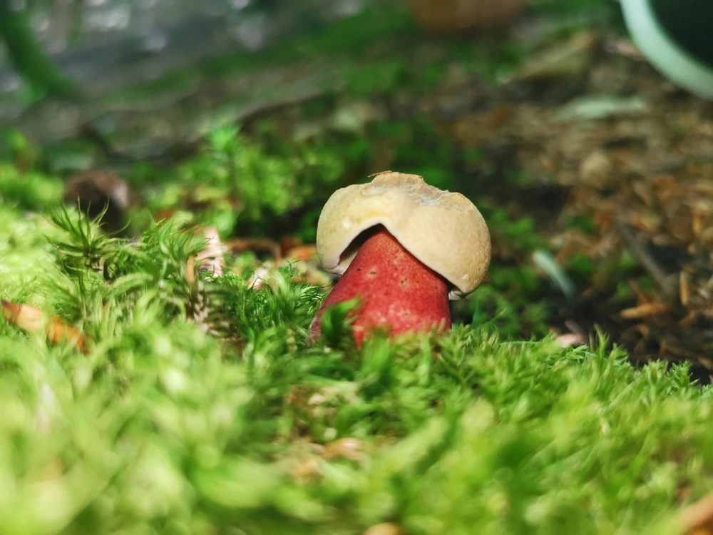 Zdjęcie dodane przez BoguO