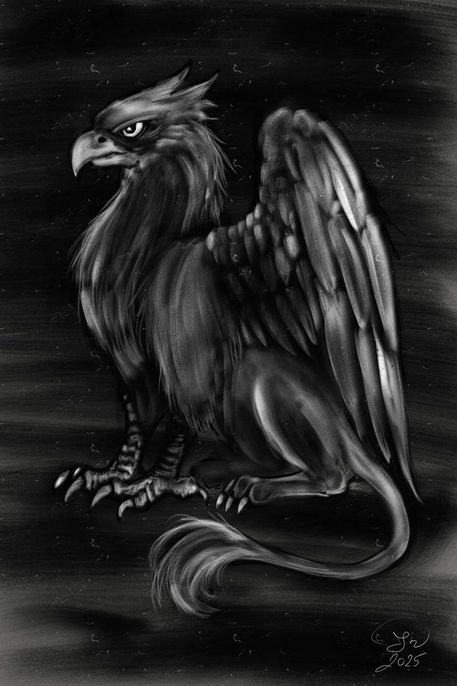 Róbert által feltöltött kép