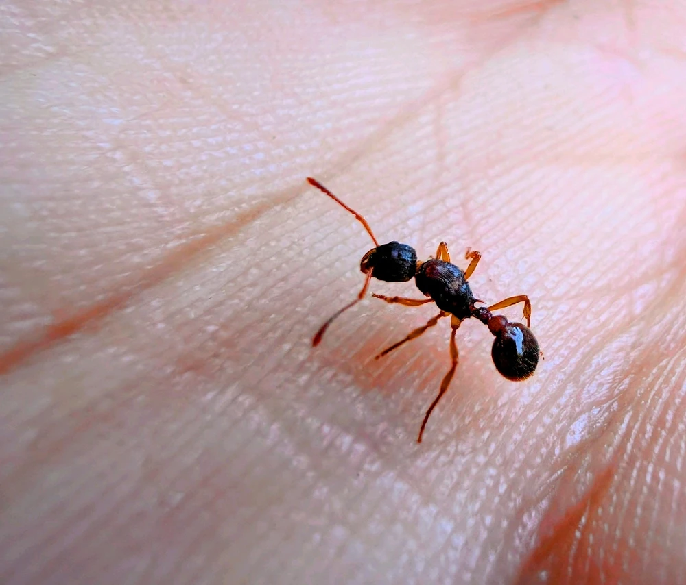 GIF diunggah dening Seba