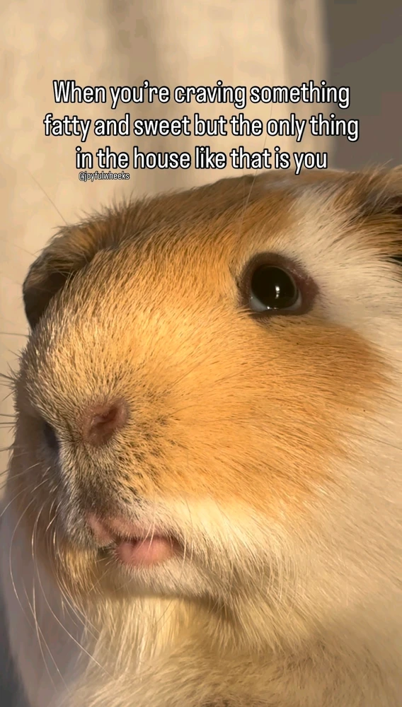 GIF dodany przez Freax