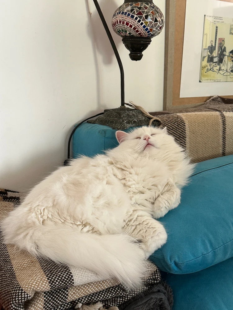 GIF uploaded by Viktoriia