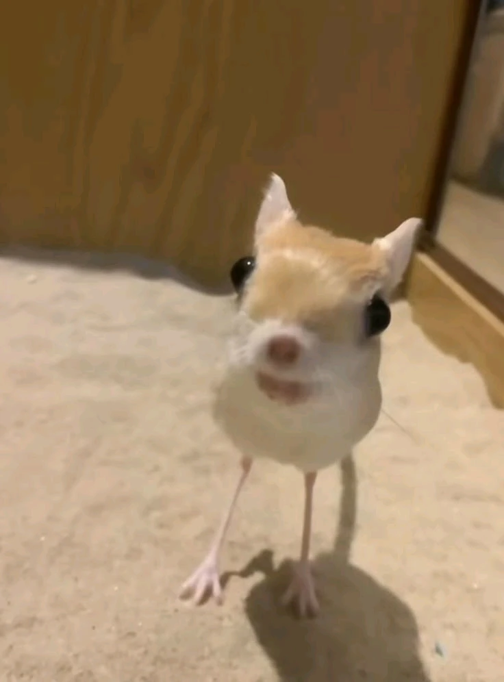 Por mi historial clínico mi doctora concluyó que soy una persona nerviosa :c