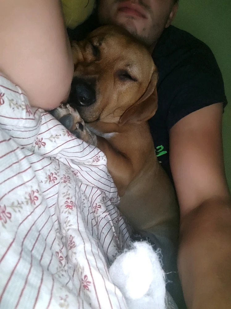 No i zasnął 🥱🤗