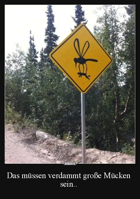 GIF hochgeladen von Ezra