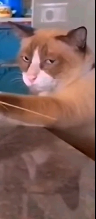 GIF na in-upload ni Phoebe