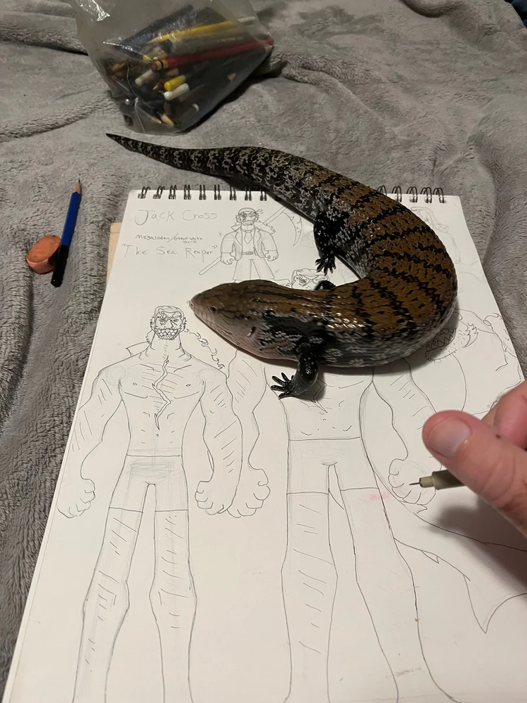 Gambar diunggah dening Theo