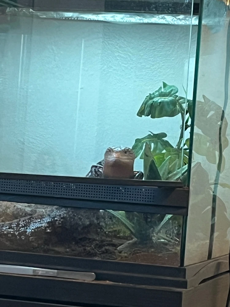 Gambar diunggah dening Theo