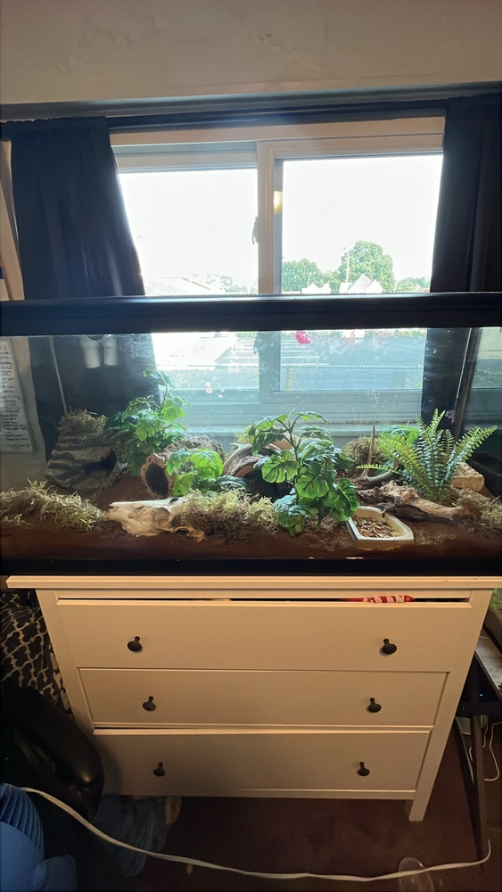 Gambar diunggah dening Theo