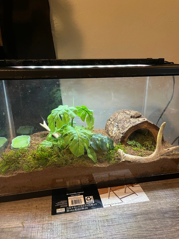 Gambar diunggah dening Theo