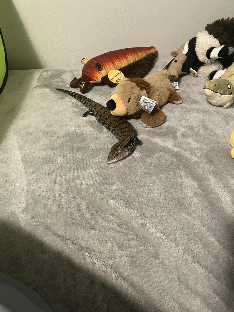 Gambar diunggah dening Theo