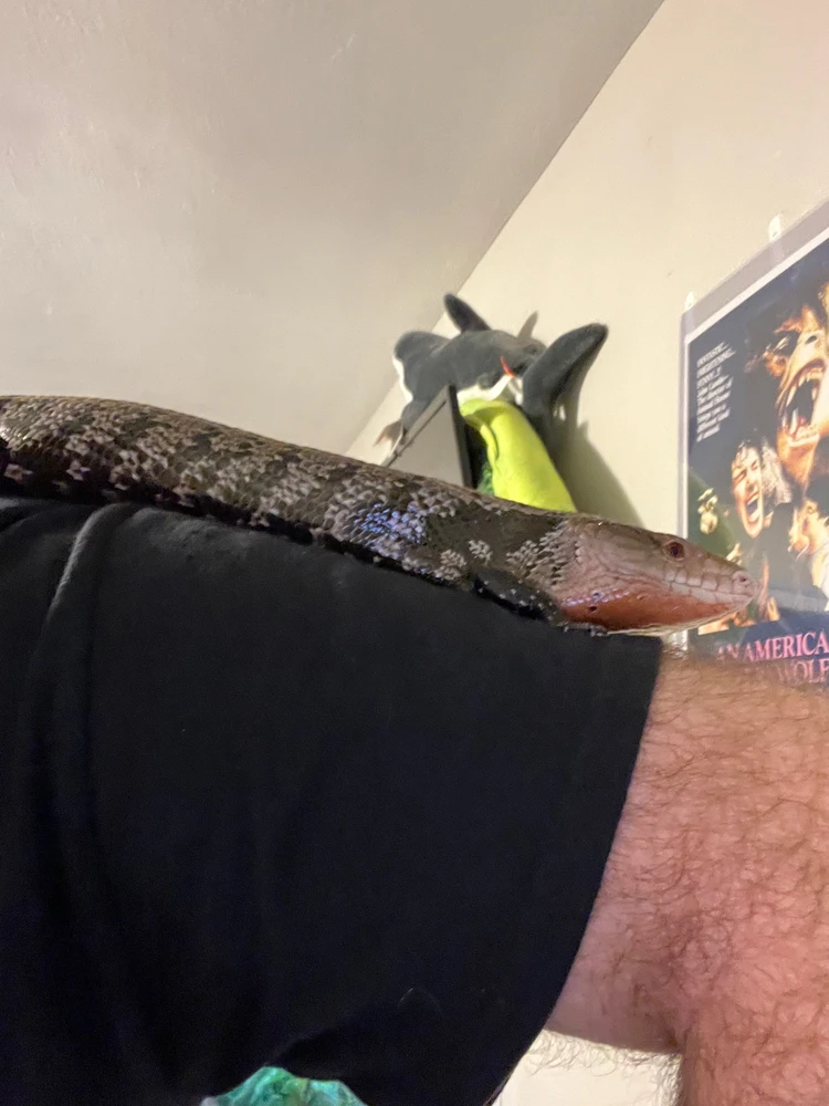 Gambar diunggah dening Theo