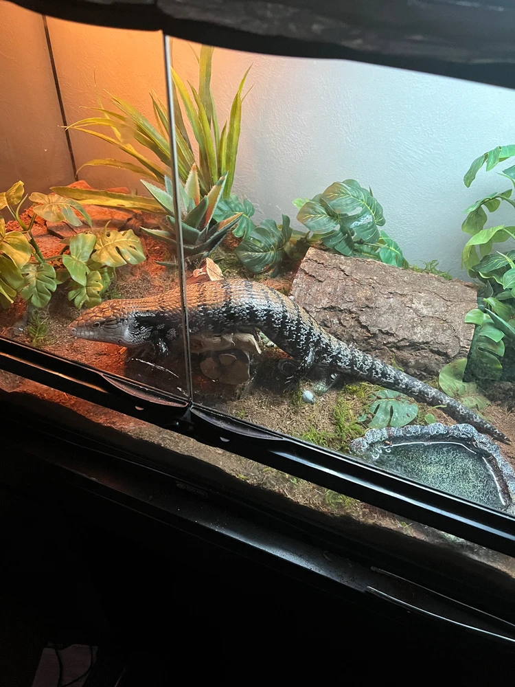 Gambar diunggah dening Theo