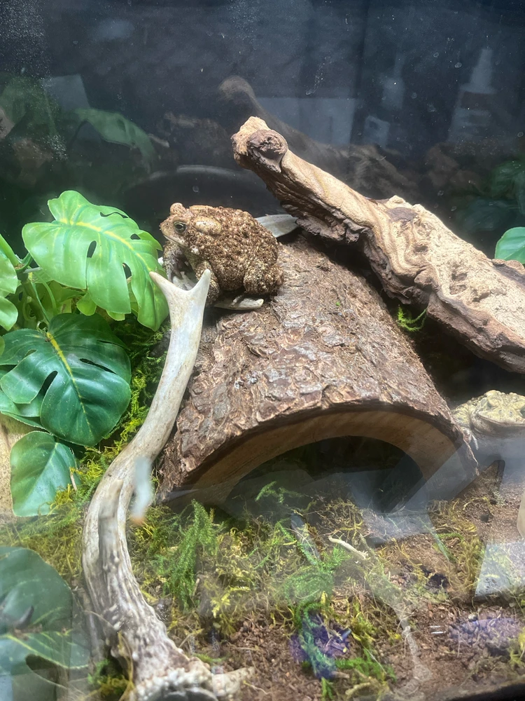 Gambar diunggah dening Theo