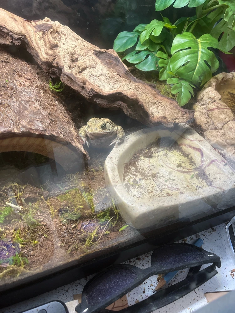 Gambar diunggah dening Theo