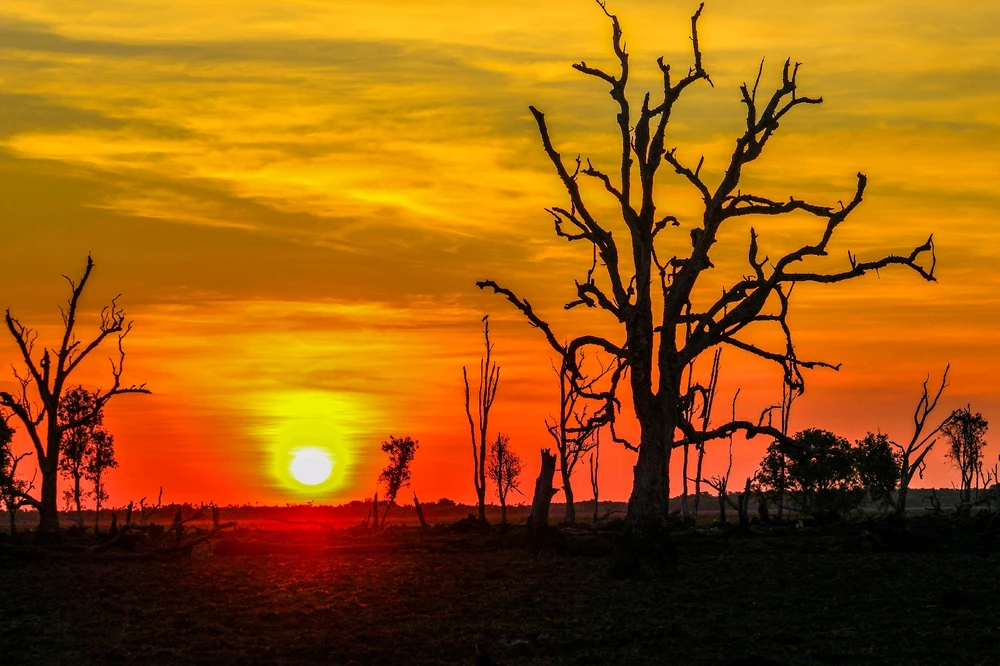 GIF uploaded by Kris