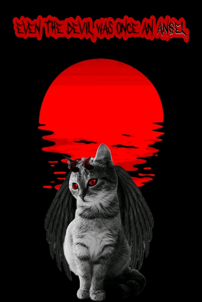 Balogh Adrián által feltöltött kép