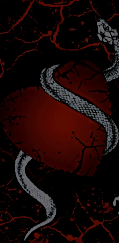 Balogh Adrián által feltöltött kép