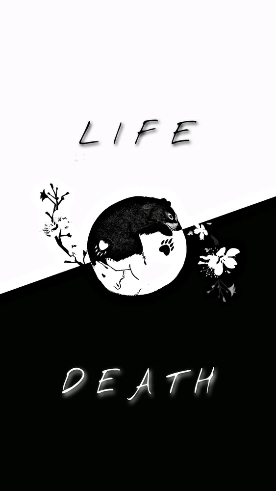 Balogh Adrián által feltöltött kép