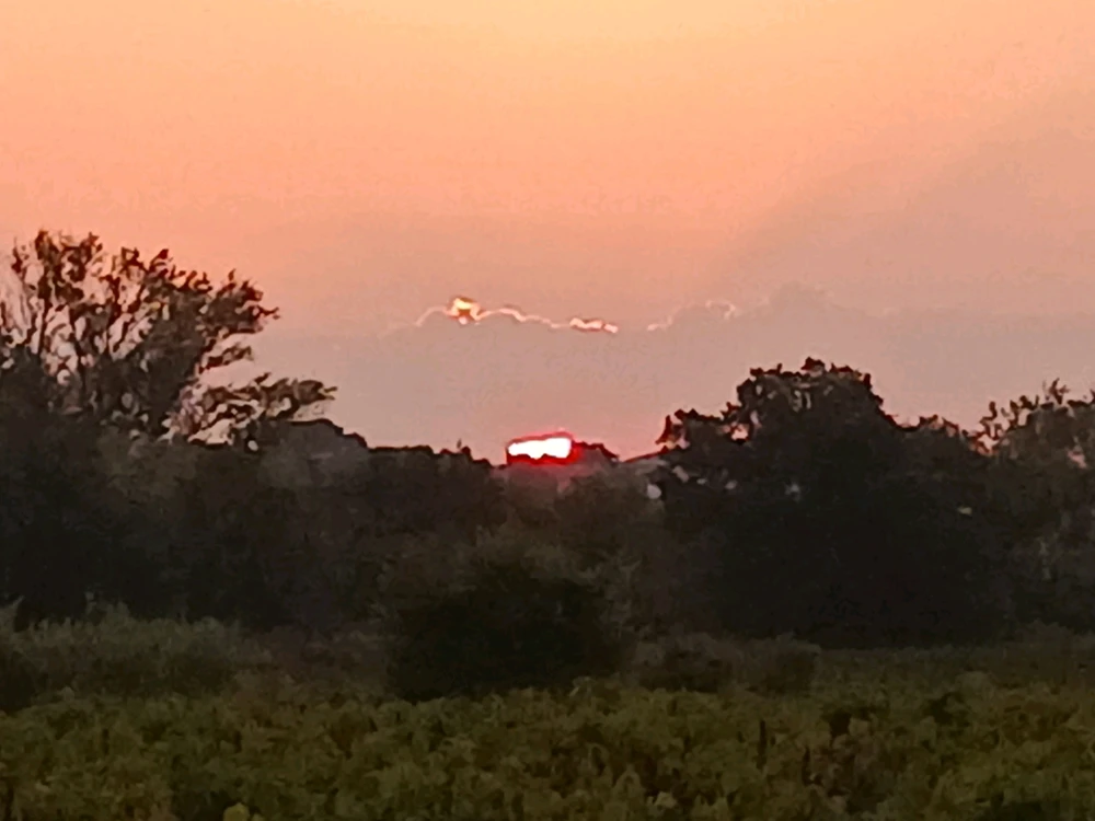 Image ajoutée par Rick