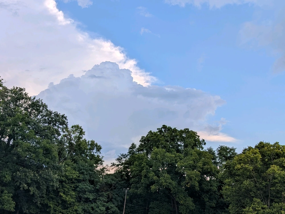 Image uploaded by Chuck