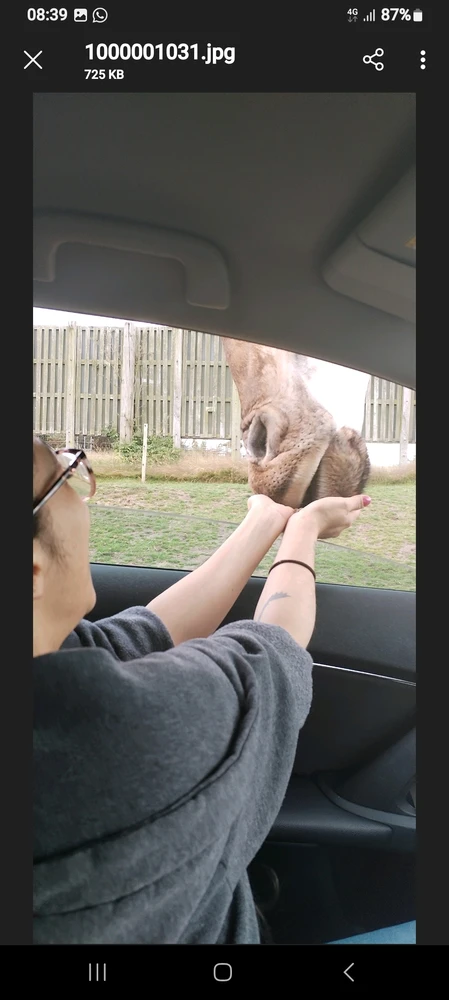 Image uploaded by TᕔꕷᙁĬᙏ ᕓꗛRꗞᙁĬᙅᕔ