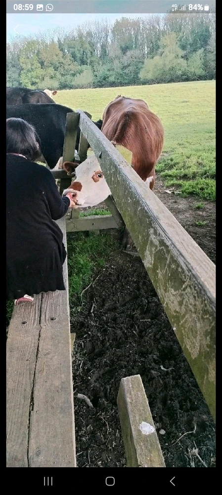 Image uploaded by TᕔꕷᙁĬᙏ ᕓꗛRꗞᙁĬᙅᕔ