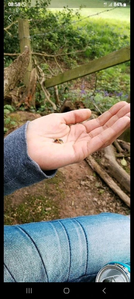 Image uploaded by TᕔꕷᙁĬᙏ ᕓꗛRꗞᙁĬᙅᕔ