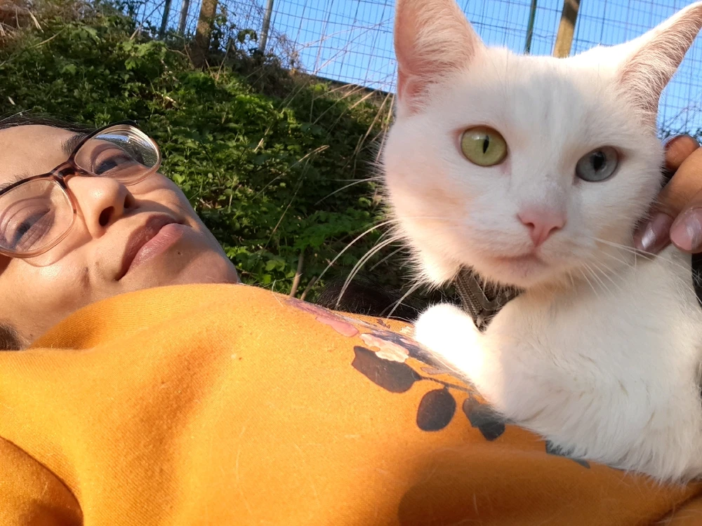 Image uploaded by TᕔꕷᙁĬᙏ ᕓꗛRꗞᙁĬᙅᕔ