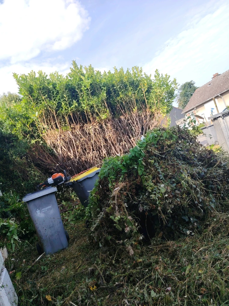 GIF ajouté par Aurélien