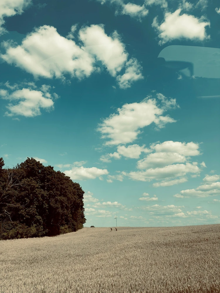 GIF dodany przez Alicja