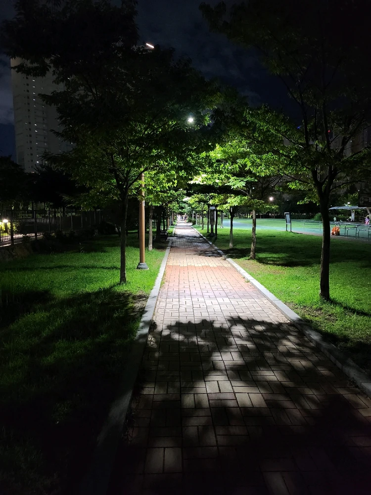 루카님이 올린 사진