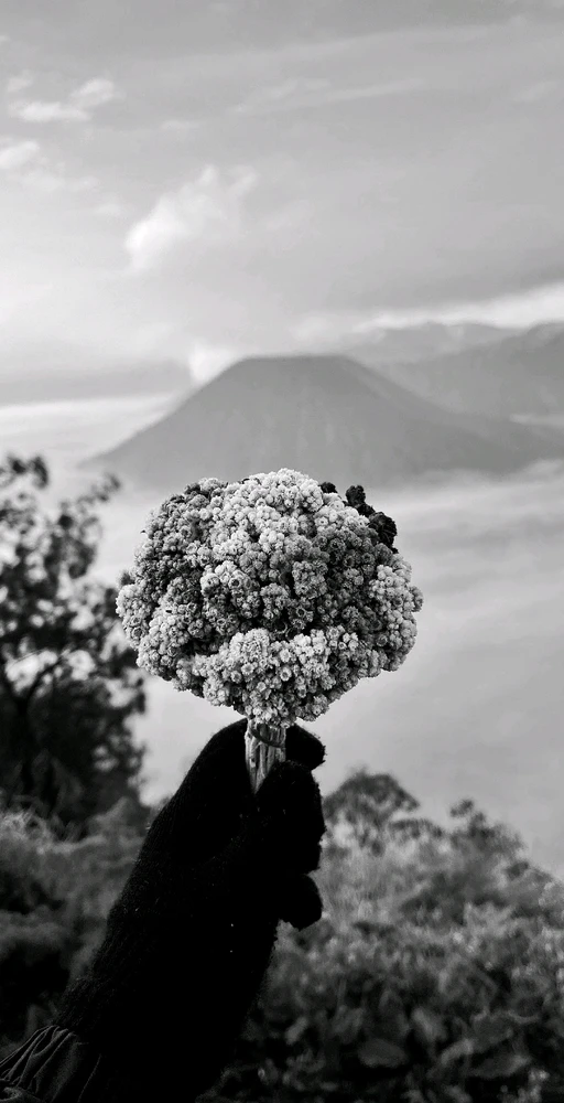 GIF diunggah oleh Nur