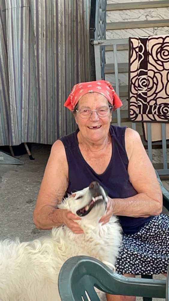 GIF caricata da Flavio