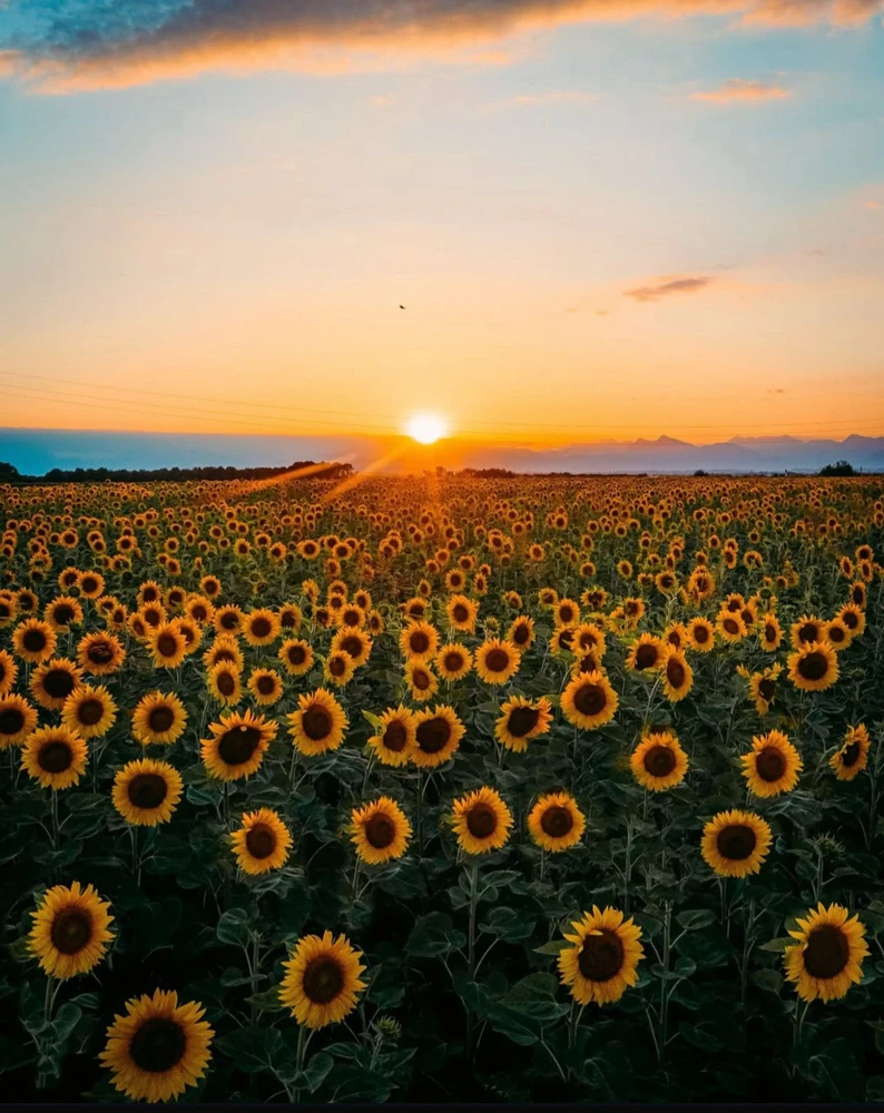 GIF uploaded by Fabio