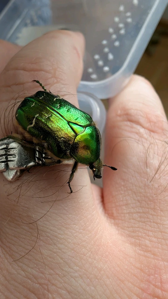 GIF diunggah dening Seba