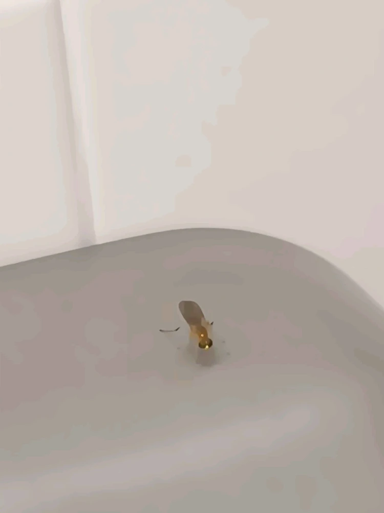 Image uploaded by Nico