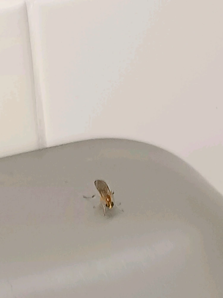 Image uploaded by Nico