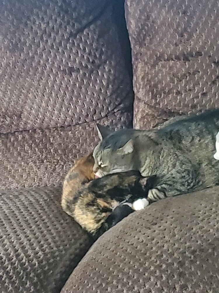 GIF uploaded by Bryan