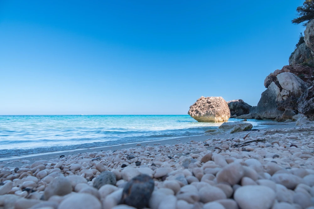 GIF caricata da Davide