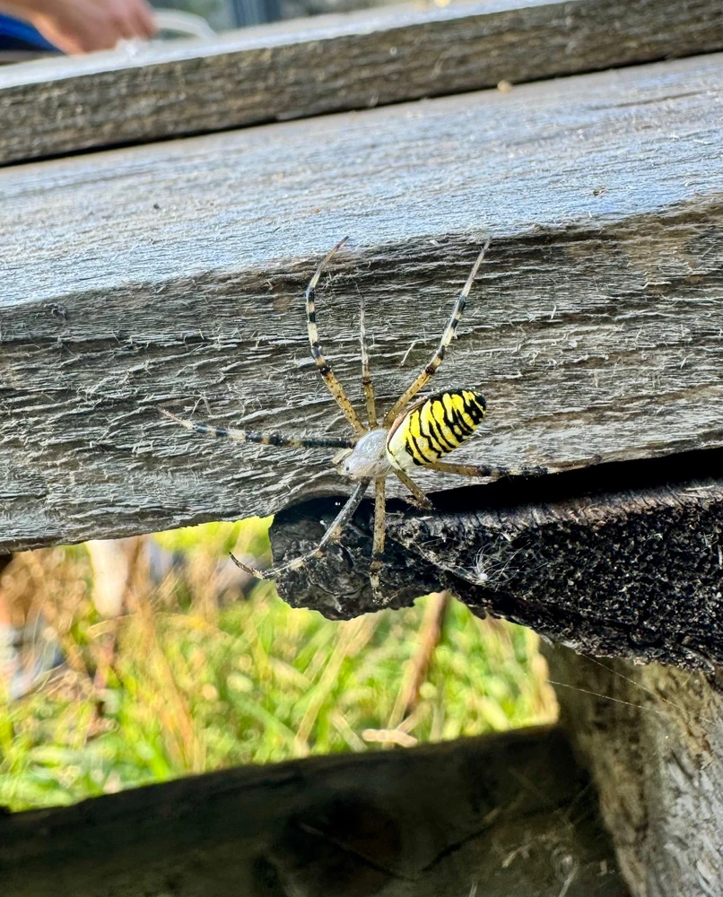 GIF dodany przez Szymon