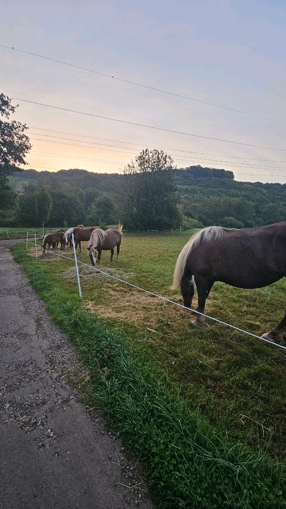 Image uploaded by Clare