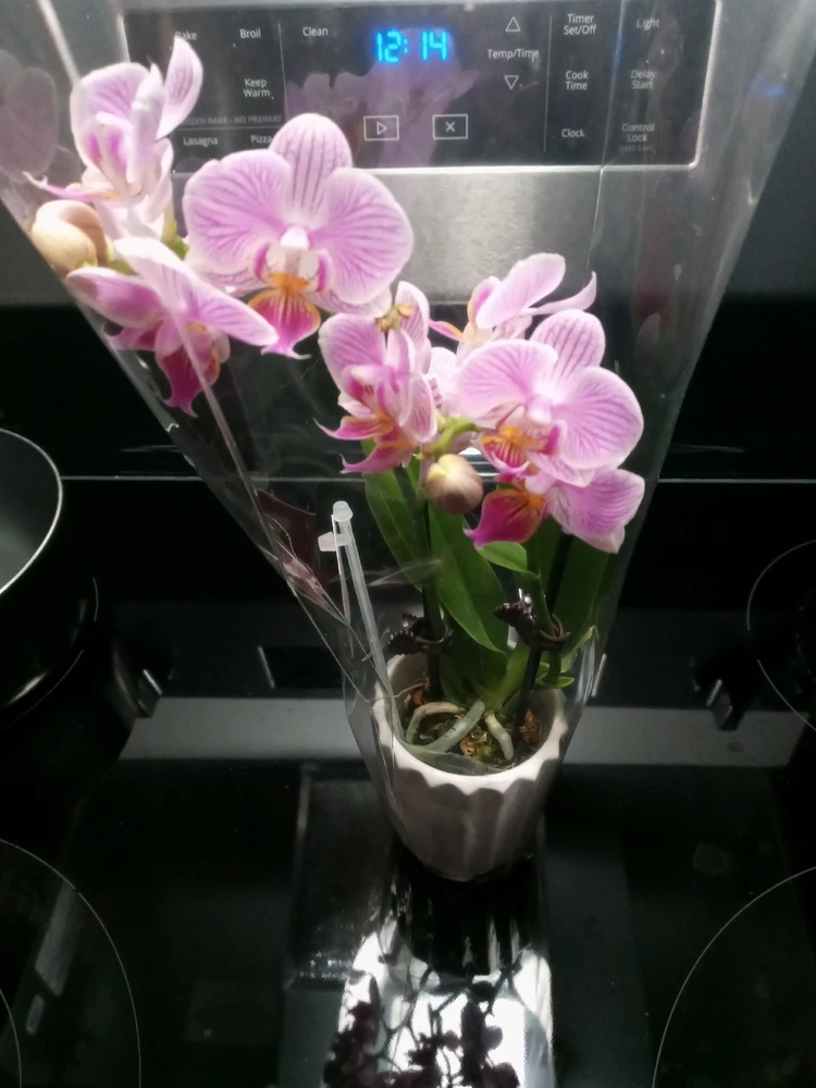 GIF uploaded by Brooke